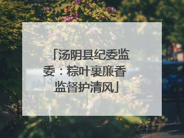 汤阴县纪委监委：粽叶裹廉香 监督护清风