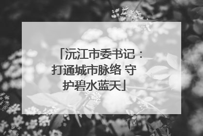 沅江市委书记：打通城市脉络 守护碧水蓝天