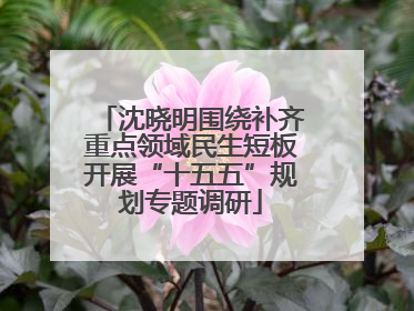 沈晓明围绕补齐重点领域民生短板开展“十五五”规划专题调研