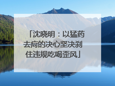沈晓明：以猛药去疴的决心坚决刹住违规吃喝歪风