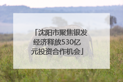 沈阳市聚焦银发经济释放530亿元投资合作机会