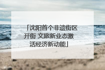 沈阳首个非遗街区开街 文旅新业态激活经济新动能