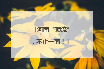 河南“顶流”，不止一面！