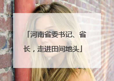 河南省委书记、省长，走进田间地头