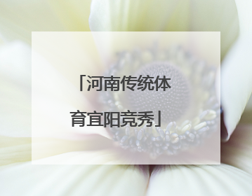 河南传统体育宜阳竞秀