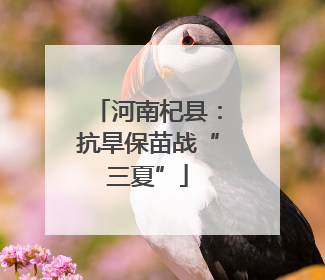 河南杞县：抗旱保苗战“三夏”