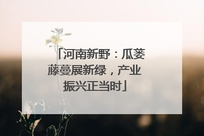 河南新野：瓜蒌藤蔓展新绿，产业振兴正当时