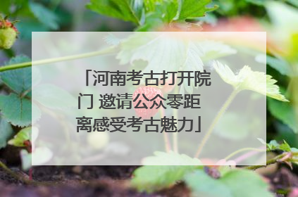 河南考古打开院门 邀请公众零距离感受考古魅力