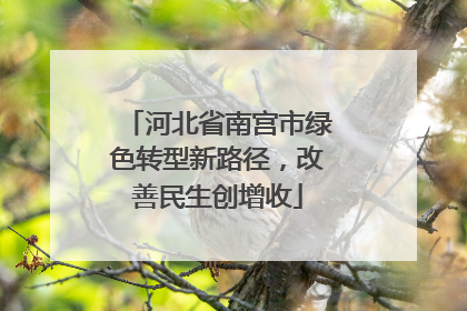 河北省南宫市绿色转型新路径，改善民生创增收
