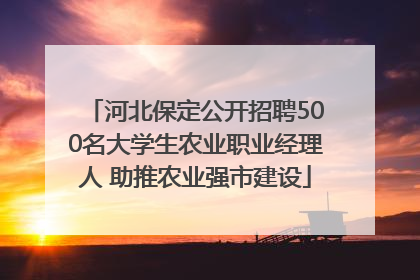 河北保定公开招聘500名大学生农业职业经理人 助推农业强市建设