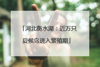 河北衡水湖：近万只夏候鸟进入繁殖期