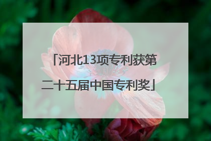 河北13项专利获第二十五届中国专利奖