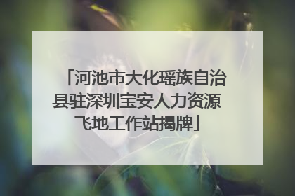 河池市大化瑶族自治县驻深圳宝安人力资源飞地工作站揭牌