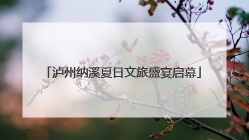 泸州纳溪夏日文旅盛宴启幕