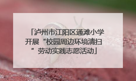 泸州市江阳区通滩小学开展“校园周边环境清扫”劳动实践志愿活动