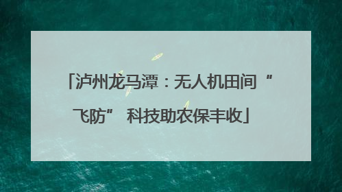 泸州龙马潭：无人机田间“飞防” 科技助农保丰收