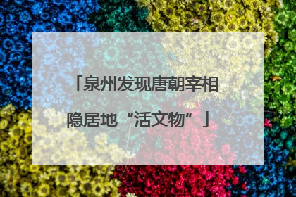 泉州发现唐朝宰相隐居地“活文物”