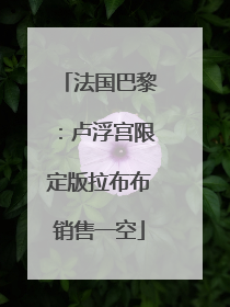 法国巴黎：卢浮宫限定版拉布布销售一空