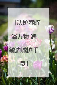 法护春晖泽万物 润毓边城护千灵