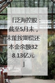 泛海控股：截至5月末，未能按期偿还本金余额328.13亿元