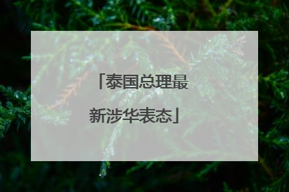 泰国总理最新涉华表态