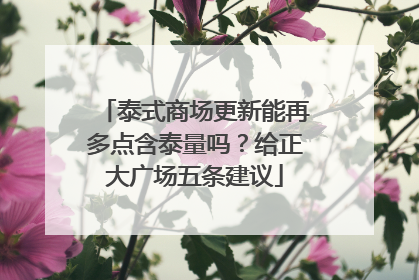 泰式商场更新能再多点含泰量吗？给正大广场五条建议