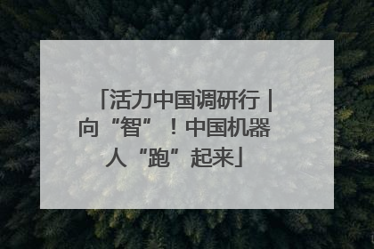 活力中国调研行｜向“智”！中国机器人“跑”起来