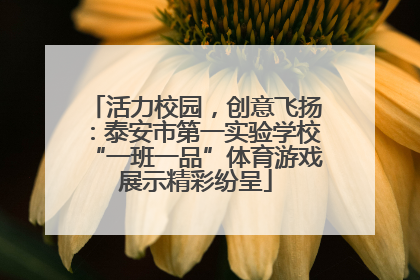 活力校园，创意飞扬：泰安市第一实验学校“一班一品”体育游戏展示精彩纷呈