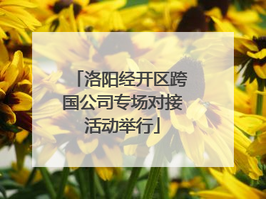 洛阳经开区跨国公司专场对接活动举行