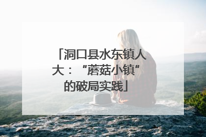 洞口县水东镇人大：“蘑菇小镇”的破局实践