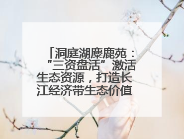 洞庭湖麋鹿苑：“三资盘活”激活生态资源，打造长江经济带生态价值转化新标杆