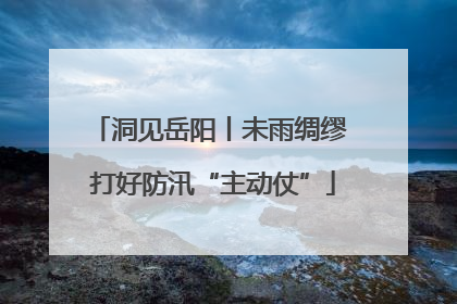 洞见岳阳丨未雨绸缪 打好防汛“主动仗”