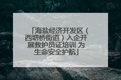 海盐经济开发区（西塘桥街道）入企开展救护员证培训 为生命安全护航