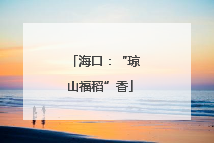 海口：“琼山福稻”香