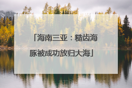 海南三亚：糙齿海豚被成功放归大海