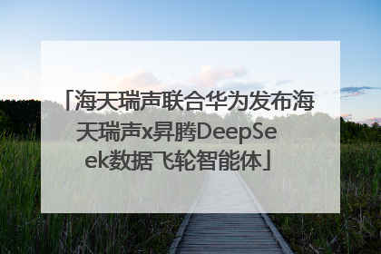 海天瑞声联合华为发布海天瑞声x昇腾DeepSeek数据飞轮智能体