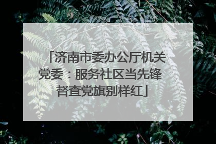 济南市委办公厅机关党委：服务社区当先锋 督查党旗别样红