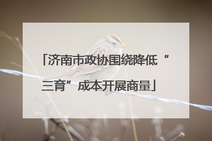 济南市政协围绕降低“三育”成本开展商量