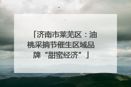 济南市莱芜区：油桃采摘节催生区域品牌“甜蜜经济”