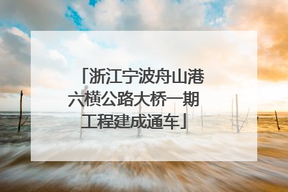 浙江宁波舟山港六横公路大桥一期工程建成通车
