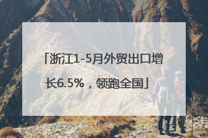 浙江1-5月外贸出口增长6.5%，领跑全国