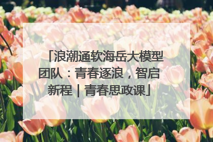 浪潮通软海岳大模型团队：青春逐浪，智启新程｜青春思政课