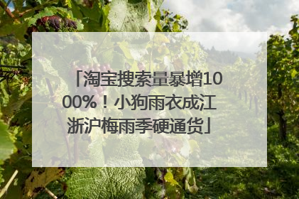 淘宝搜索量暴增1000%！小狗雨衣成江浙沪梅雨季硬通货