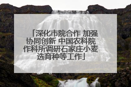 深化市院合作 加强协同创新 中国农科院作科所调研石家庄小麦选育种等工作