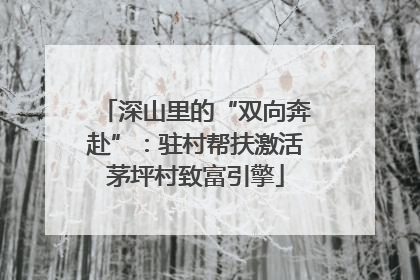 深山里的“双向奔赴”：驻村帮扶激活茅坪村致富引擎