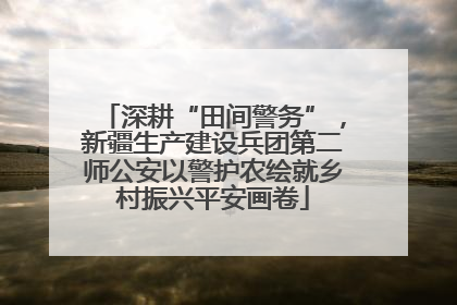 深耕“田间警务”，新疆生产建设兵团第二师公安以警护农绘就乡村振兴平安画卷