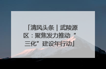 清风头条｜武陵源区：聚焦发力推动“三化”建设年行动