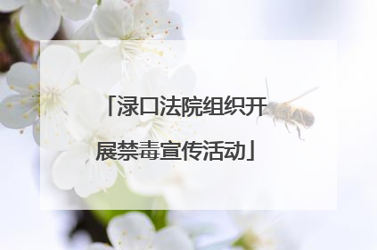 渌口法院组织开展禁毒宣传活动