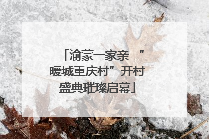 渝蒙一家亲 “暖城重庆村”开村盛典璀璨启幕