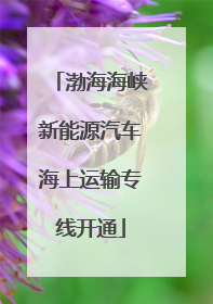 渤海海峡新能源汽车海上运输专线开通